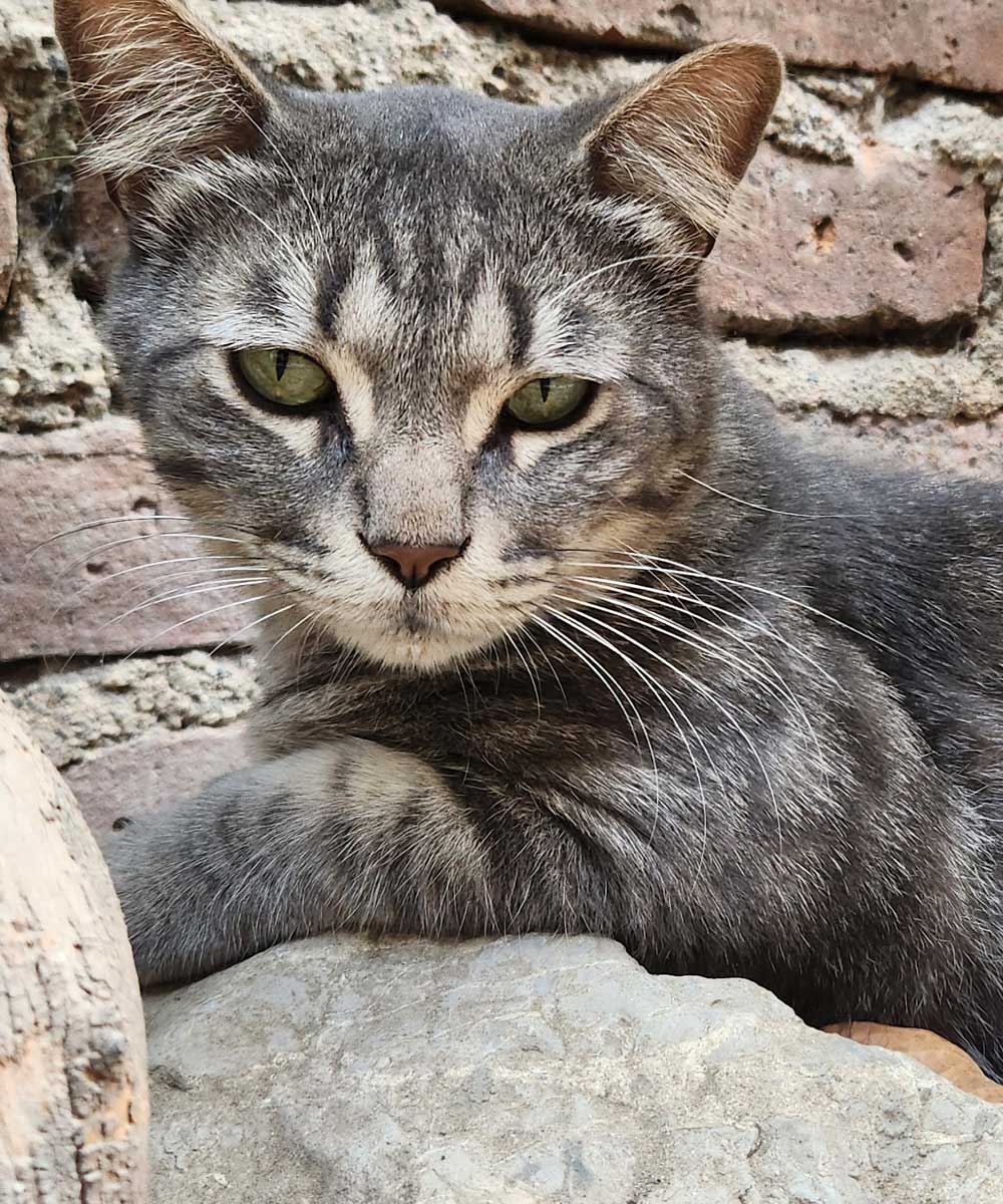 toolbox-element-TC-Inner-Peace