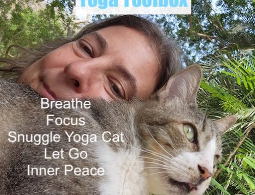 Yoga Toolbox Sample Session 1